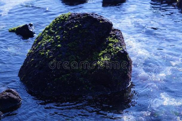 美丽的风景关于济州岛采用朝鲜