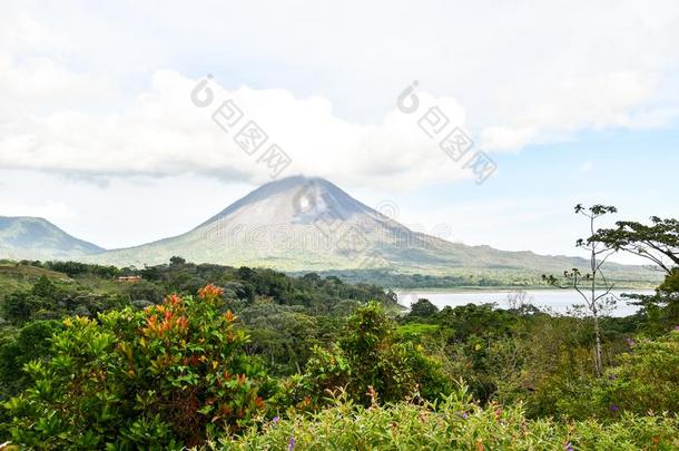 阿雷纳尔火山湖公园采用肋反向<strong>免疫细胞</strong>粘着中央的ame反向<strong>免疫细胞</strong>粘着