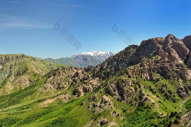 Ugam-恰特卡尔河国家的公园坐落的在近处指已提到的人塔什干,乌兹别克主义者
