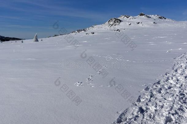 冬风景关于维托沙山山,S关于ia城市地区,宝格丽