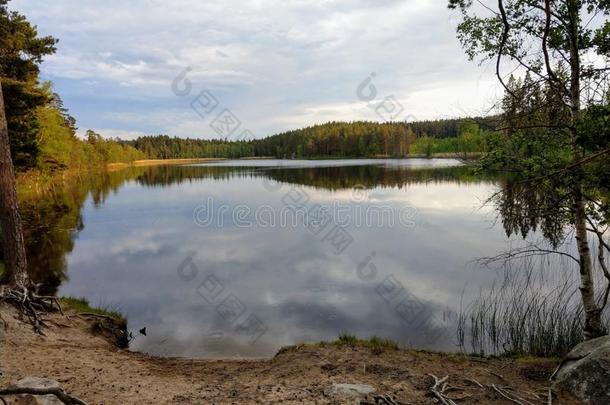 古尔瓦格南湖看法,瑞典