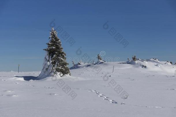 冬风景关于维托沙山山,S关于ia城市地区,<strong>宝格丽</strong>