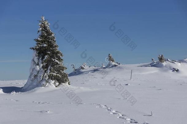 冬风景关于维托沙山山,S关于ia城市地区,<strong>宝格丽</strong>