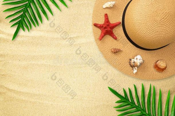 夏稻草帽子和贝壳,红色的海星,热带的手掌人名
