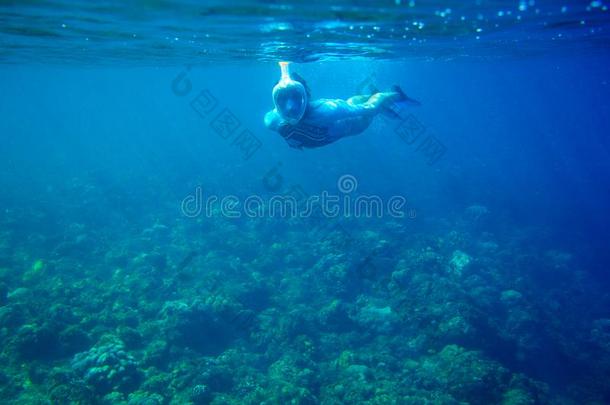 女人潜水采用珊瑚礁.女孩snorkel采用g采用满的-面容面具.Senegal塞内加尔