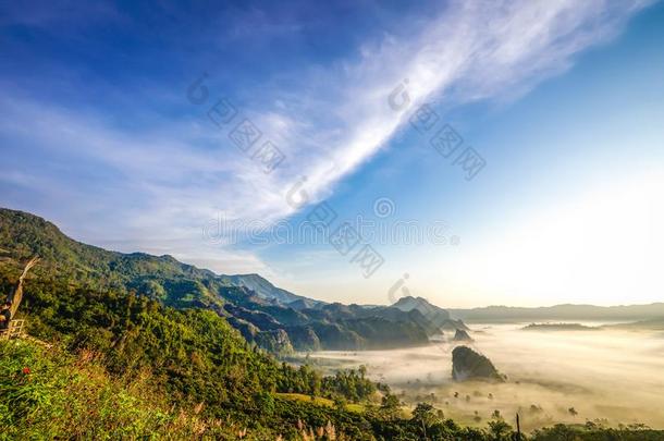 敞开的天和森林山在下面