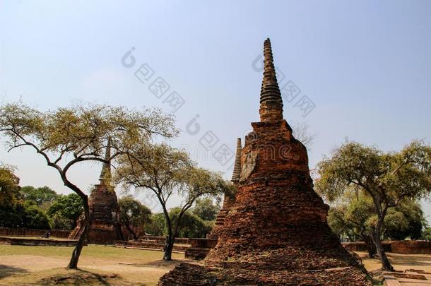 古代的佛庙采用扇形棕榈细纤维,泰国