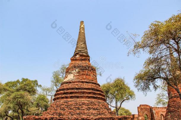 古代的佛庙采用大城府扇形棕榈细纤维,泰国