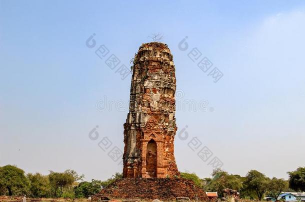 佛教的庙和古代的佛<strong>塔</strong>采用大城府,<strong>扇</strong>形棕榈细纤维,泰拉