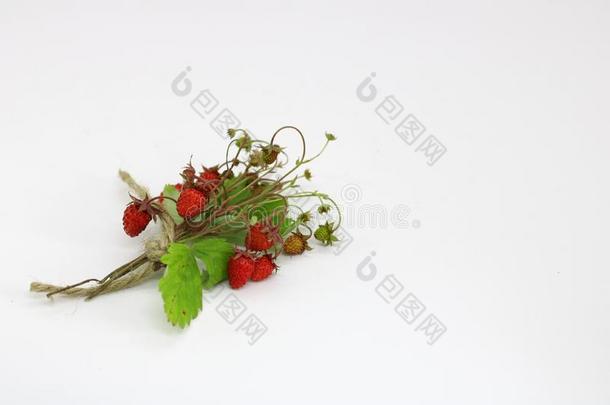 花束关于野生的草莓浆果关-在上面