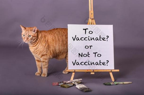 向给接种疫苗或不向给接种疫苗信息描画的向白色的帆布