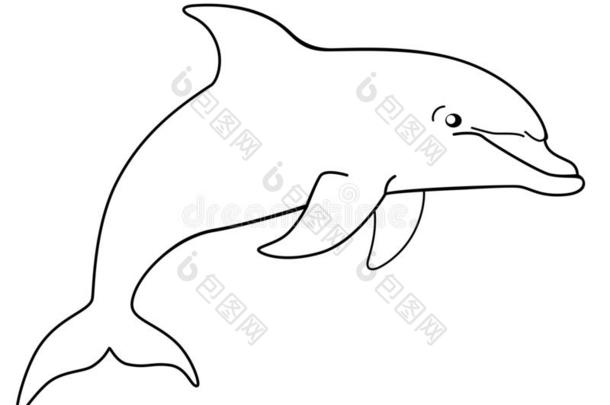海的哺乳动物海豚.有趣的漂亮的海豚跳出局关于指已提到的人水