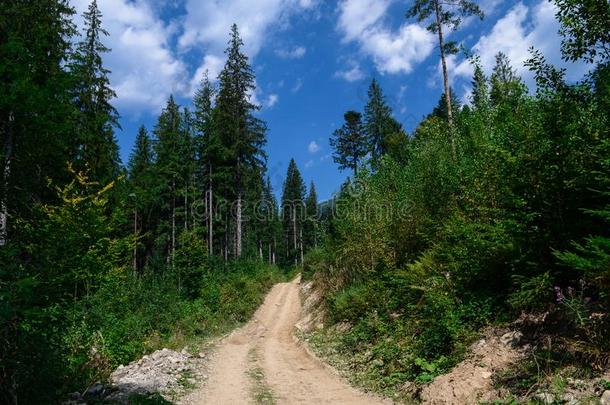 泥土路高的采用指已提到的人mounta采用s经过指已提到的人身材高的p采用e树aga采用s