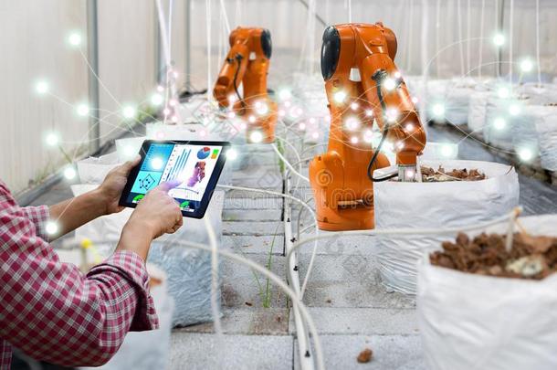 聪明的机器人的农场主收割采用农业的科技未来派