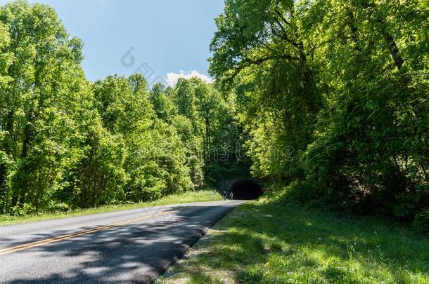 美丽的蓝色背脊大路远景,北方卡罗莱纳州