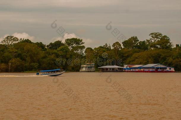 亚马逊河河,亚马逊河as,巴西苏木:木制的地方的小屋,住宅向指已提到的人