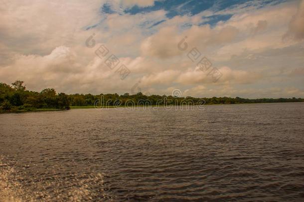 亚马逊河河,亚马逊河as,巴西苏木:美丽的风景忽视