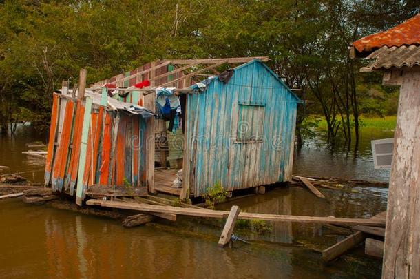 <strong>亚马逊</strong>河河,<strong>亚马逊</strong>河as,巴西苏木:木制的地方的小屋,住宅向指已提到的人