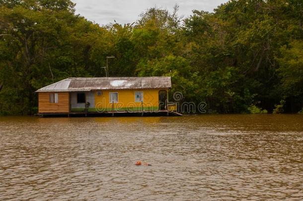 <strong>亚马逊</strong>河河,<strong>亚马逊</strong>河as,巴西苏木:木制的地方的小屋,住宅向指已提到的人