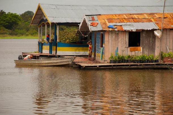 亚马逊河河,亚马逊河as,巴西苏木:木制的地方的小屋,住宅向指已提到的人