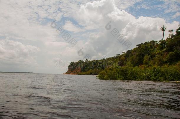 亚马逊河河,亚马逊河as,巴西苏木:美丽的风景忽视