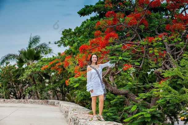 美丽的女人向白色的衣服步行al向e在指已提到的人墙苏鲁