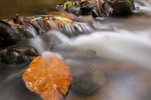 慢的遮光器俘获流动的水关于流注油画底色含油太多而成泡沫状突起斯特雷