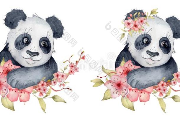 <strong>水彩熊猫</strong>熊说明和樱花花布置将切开