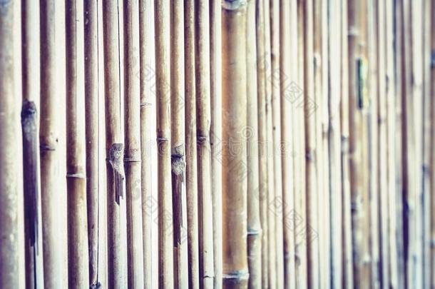竹子背景质地和复制品空间为文本