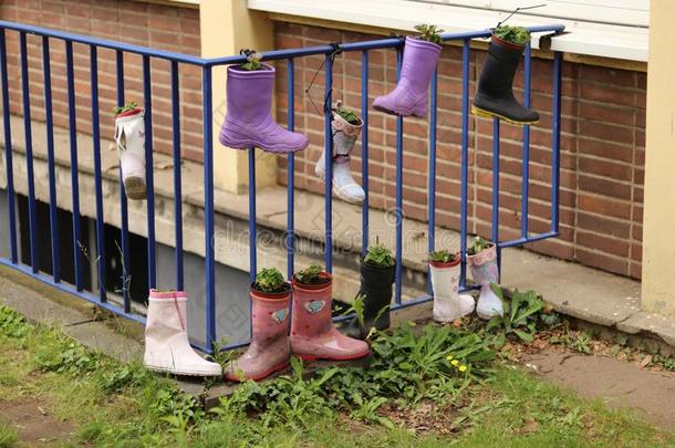 橡胶靴花园