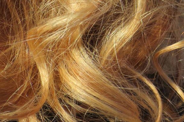 美丽的亚麻色的头发关于一热情的颜色一d很好照料或梳洗