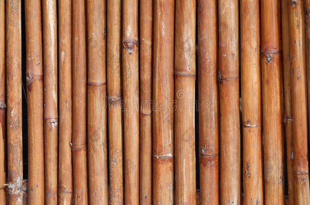 老的棕色的竹子木板栅栏质地:使用为网站/横幅背