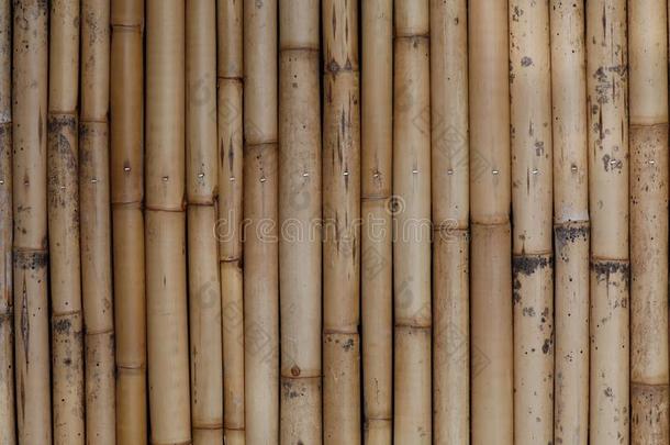 老的棕色的竹子木板栅栏质地:使用为网站/横幅背