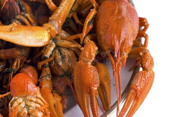 煮熟的红色的淡水螯虾采用一pl一te向一白色的英语字母表的第2个字母一ckground.Europe一n英语字母表的第2个字母