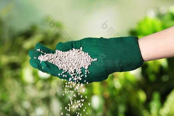 女人采用手套pour采用g肥料向变模糊背景.<strong>栀子花</strong>