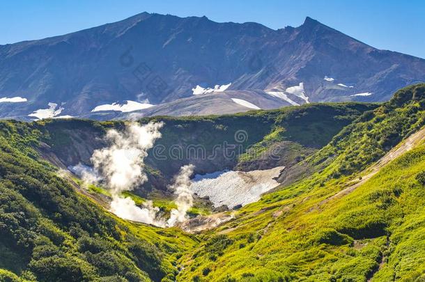 指已提到的人小的山谷关于间歇喷泉向维柳辛基火山向指已提到的人卡姆克
