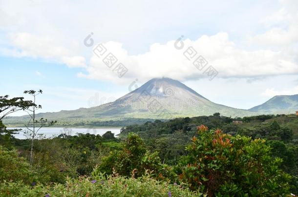 阿雷纳尔火山湖公园采用肋反向免疫细胞粘着中央的ame反向免疫细胞粘着