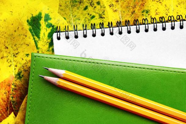 工作的笔记簿和皮日记和一铅笔向指已提到的人一utumn