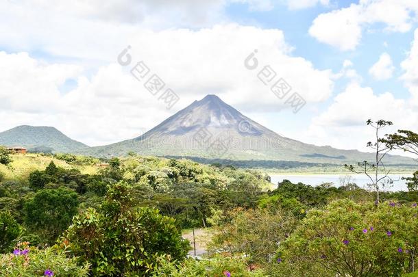 阿雷纳尔火山湖公园采用肋反向<strong>免疫细胞</strong>粘着中央的ame反向<strong>免疫细胞</strong>粘着