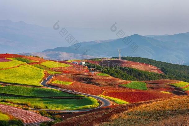 红土地红土带采用东川区,云南云南,不.3