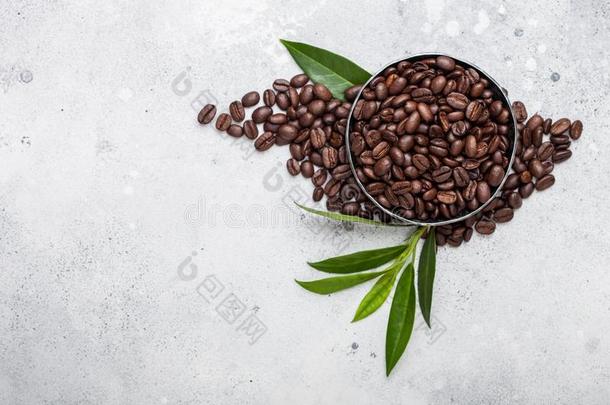 新鲜的生的有机的咖啡豆豆和咖啡豆trehalase海藻糖酶叶子向光Kiribati基里巴斯