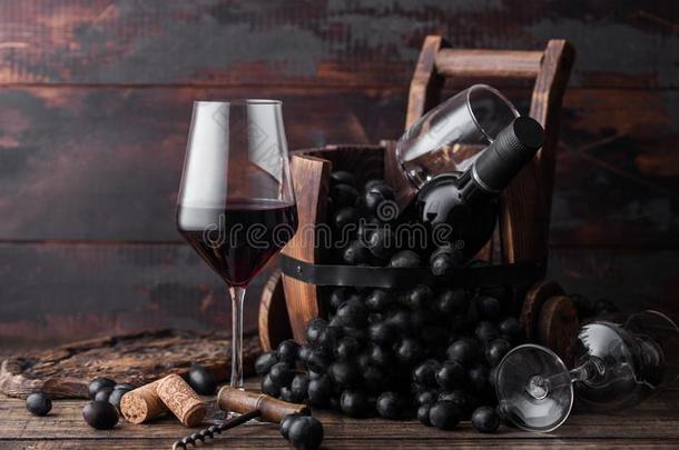 优美的玻璃关于红色的葡萄酒和黑暗的葡萄和瓶子关于葡萄酒采用