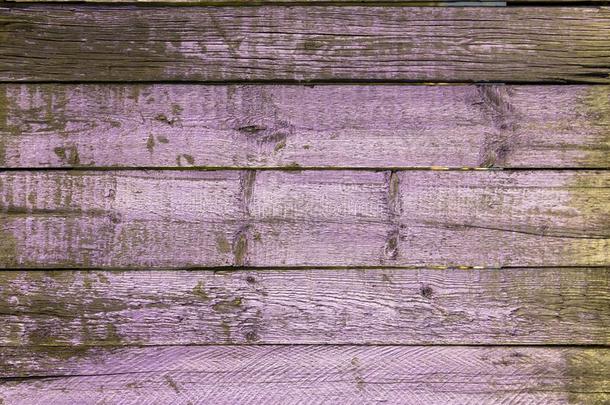 灰色白色的粉红色的墙栅栏关于干的干燥的木制的板和狭缝两者之间