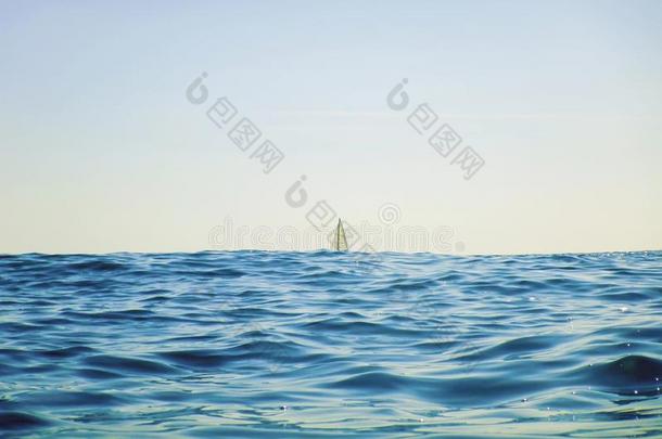 白色的帆<strong>船运</strong>动小船帆<strong>船运</strong>动向指已提到的人Horiz向,敞开的蓝色海