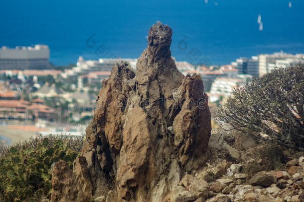 巨大的神秘的熔岩岩石被包围在旁边加那利群岛的某地特有的植物.英语字母表的第12个字母