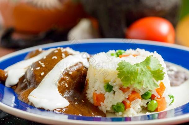 墨西哥人鼹鼠盘和稻