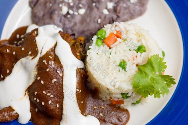 墨西哥人鼹鼠盘,传统的食物从指已提到的人南方关于墨西哥