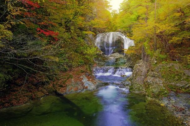 瀑布经过许多植物的叶子,采用指已提到的人落下树叶叶子颜色通道