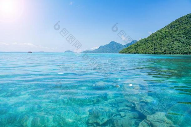 完美的热带的绿松石清楚的洋水