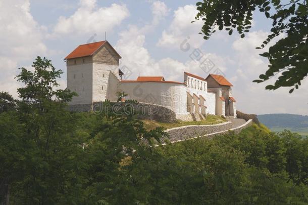中古的城堡关于费尔<strong>迪奥</strong>拉-布拉索夫,罗马尼亚